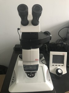 澳门六合彩开奖网站