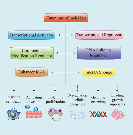 澳门六合彩开奖网站