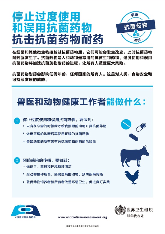 澳门六合彩开奖网站