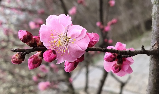 澳门六合彩开奖网站