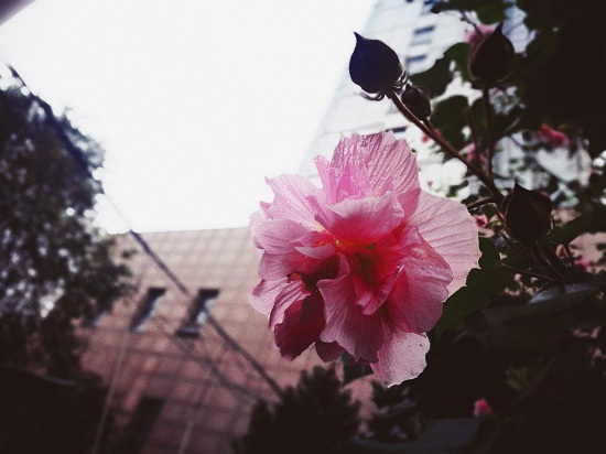 澳门六合彩开奖网站