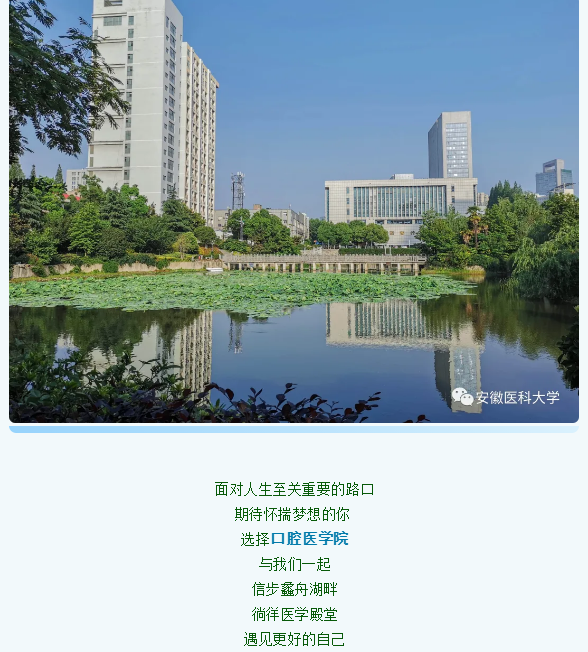 澳门六合彩开奖网站