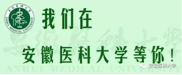 澳门六合彩开奖网站