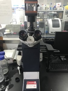 澳门六合彩开奖网站