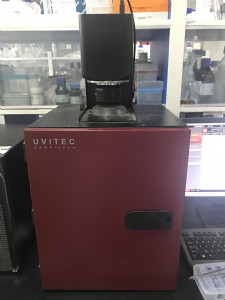 澳门六合彩开奖网站