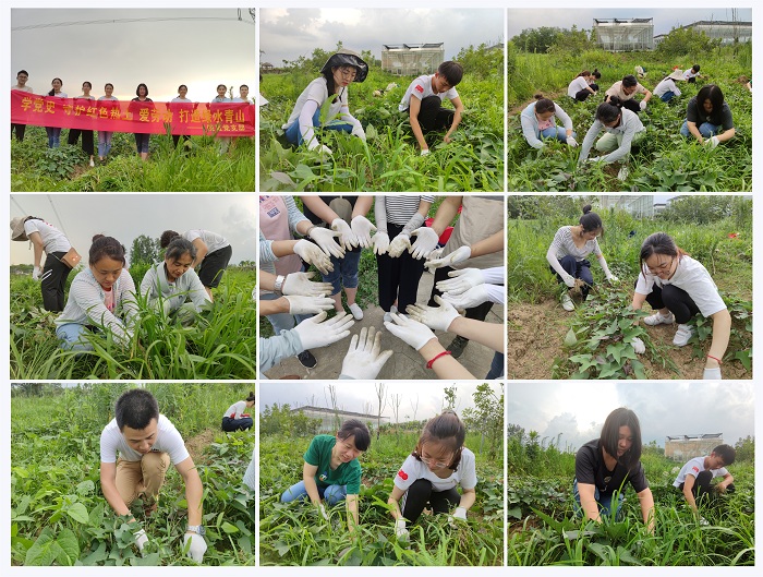 澳门六合彩开奖网站