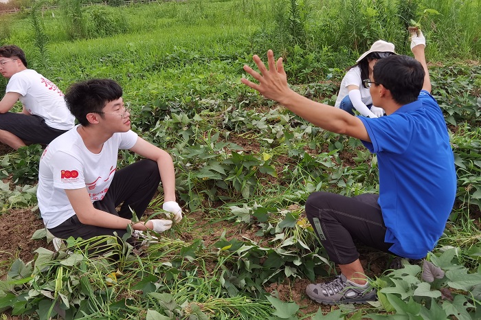 澳门六合彩开奖网站