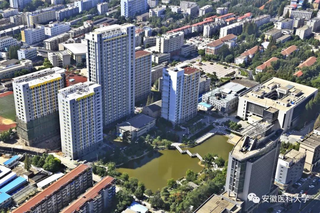 澳门六合彩开奖网站