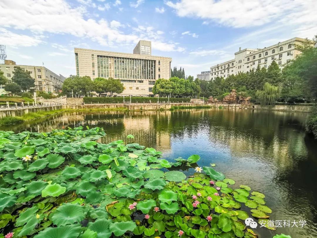 澳门六合彩开奖网站