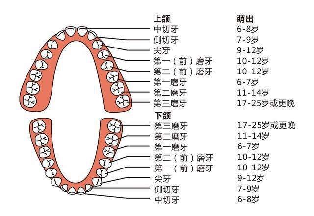 澳门六合彩开奖网站