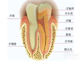 澳门六合彩开奖网站