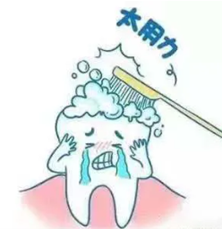 澳门六合彩开奖网站