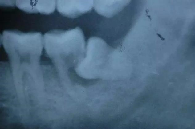 澳门六合彩开奖网站