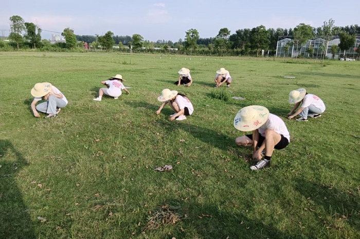 澳门六合彩开奖网站