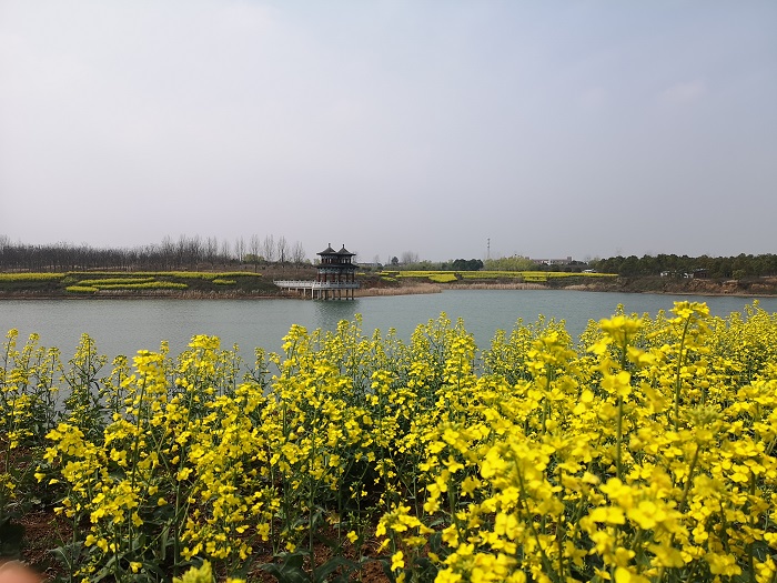 澳门六合彩开奖网站