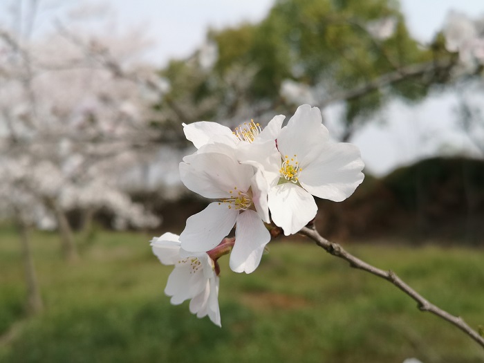 澳门六合彩开奖网站