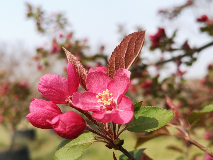 澳门六合彩开奖网站