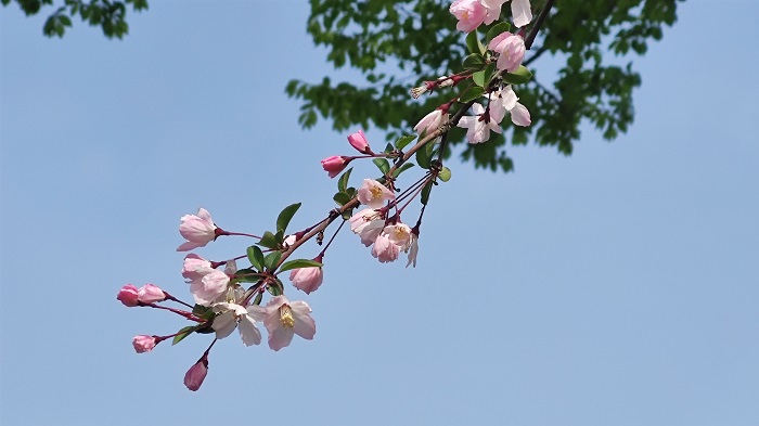 澳门六合彩开奖网站