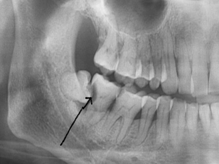 澳门六合彩开奖网站