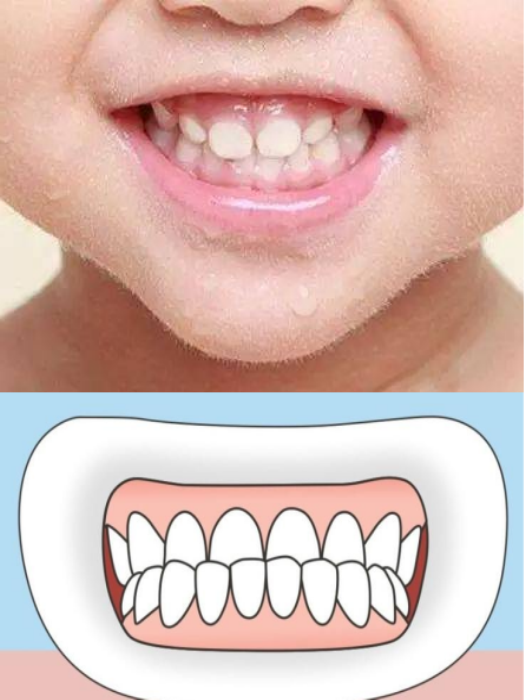 澳门六合彩开奖网站