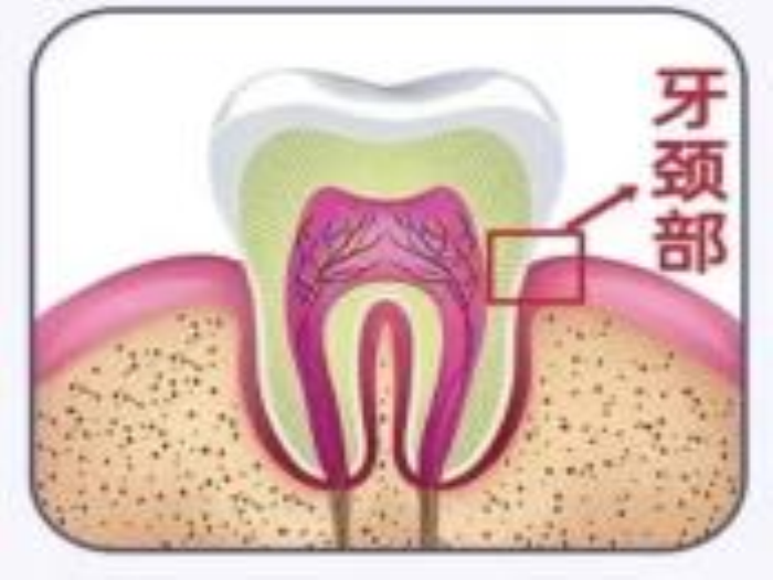 澳门六合彩开奖网站