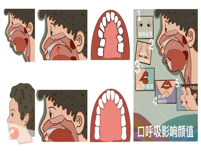 澳门六合彩开奖网站