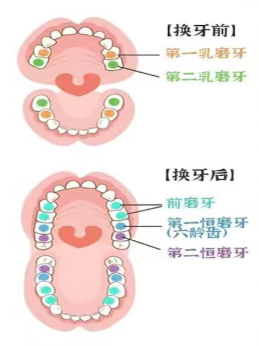澳门六合彩开奖网站