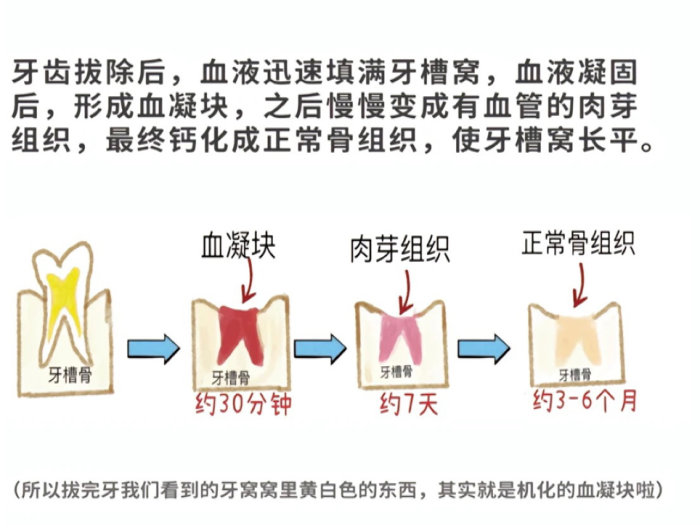 澳门六合彩开奖网站