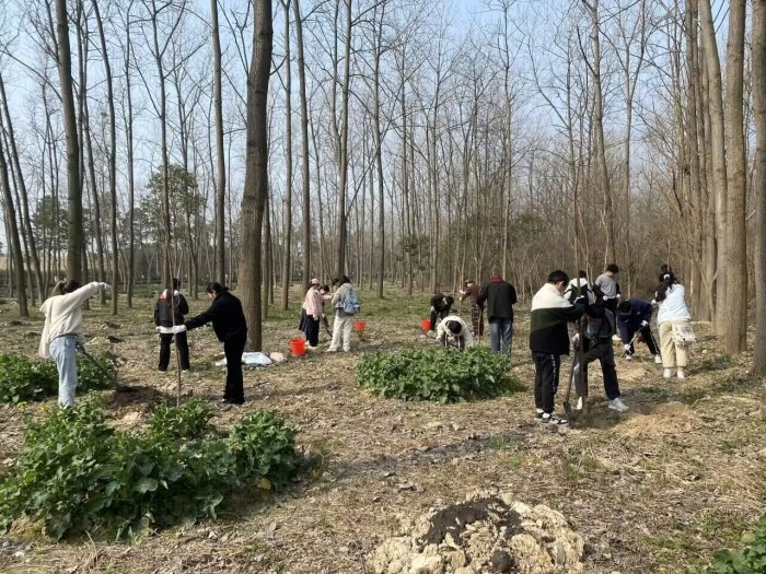 澳门六合彩开奖网站