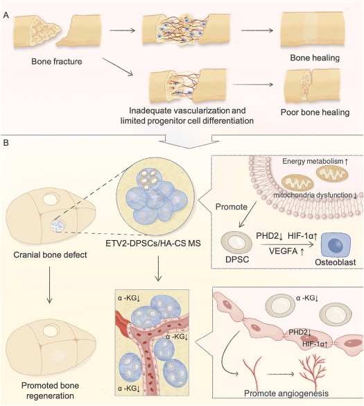 澳门六合彩开奖网站