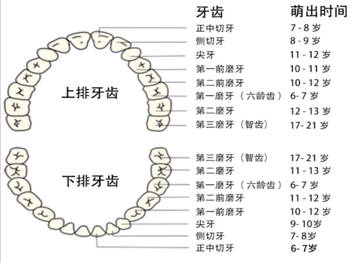 澳门六合彩开奖网站