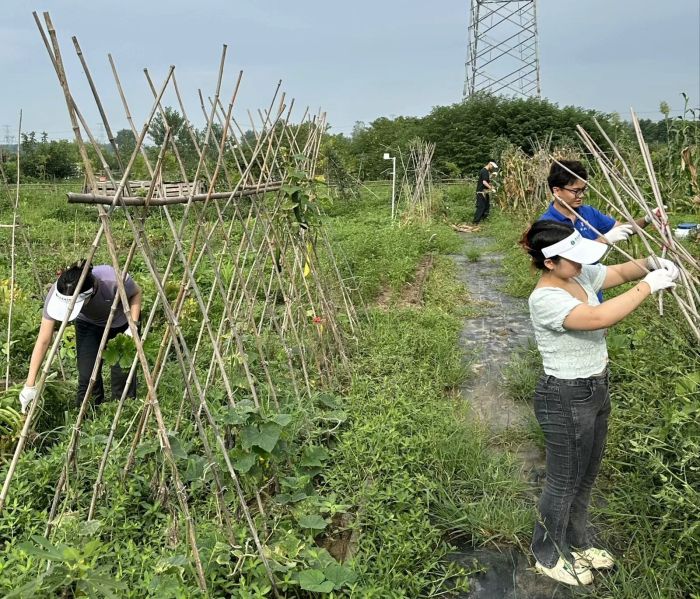 澳门六合彩开奖网站