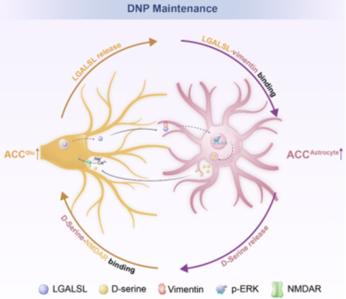 澳门六合彩开奖网站
